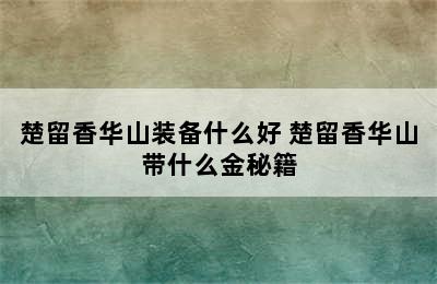 楚留香华山装备什么好 楚留香华山带什么金秘籍